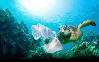 PLASTIC POLLUTION IS THE BIGGEST PROBLEM OUR OCEANS ARE FACING!