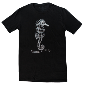 The Seahorse Eco-Series