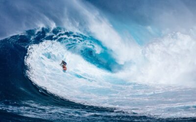 THE NEW SURF PACK: 1% PROGRESS, 100% STOKE