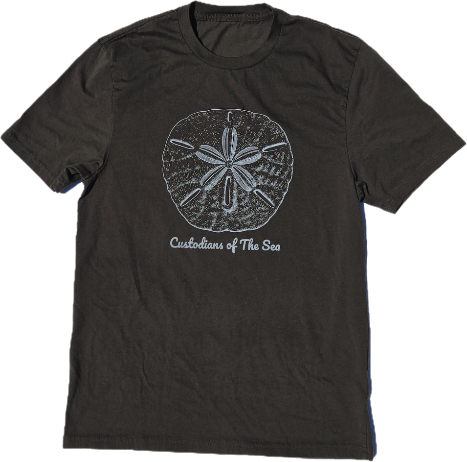 Sand Dollar Organic Series - Image 2